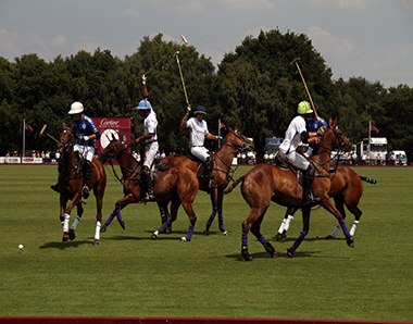 Polo Match